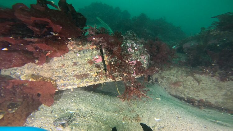North tire reef, image 13