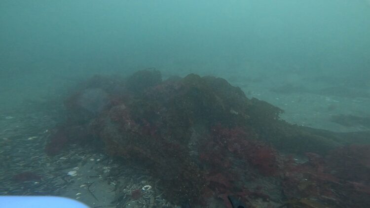 North tire reef, image 1