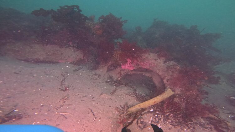North tire reef, image 10