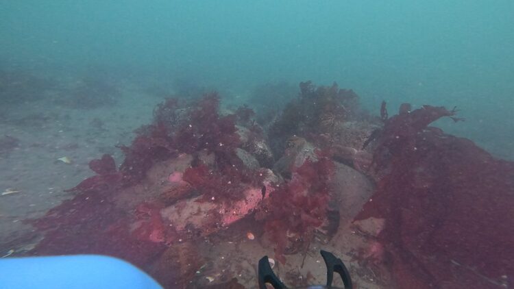 North tire reef, image 11