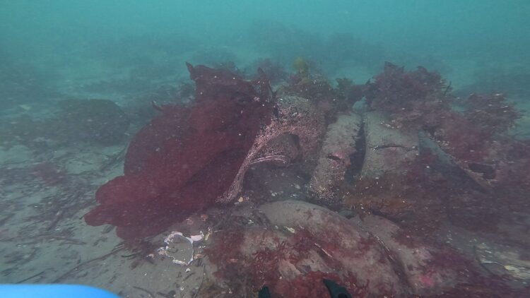 North tire reef, image 12