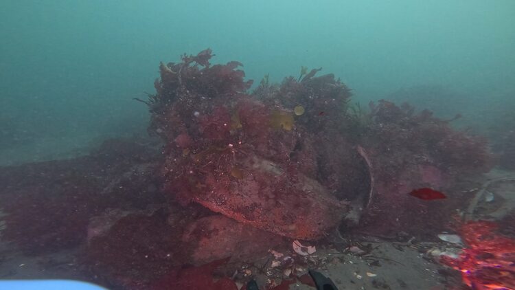 North tire reef, image 13