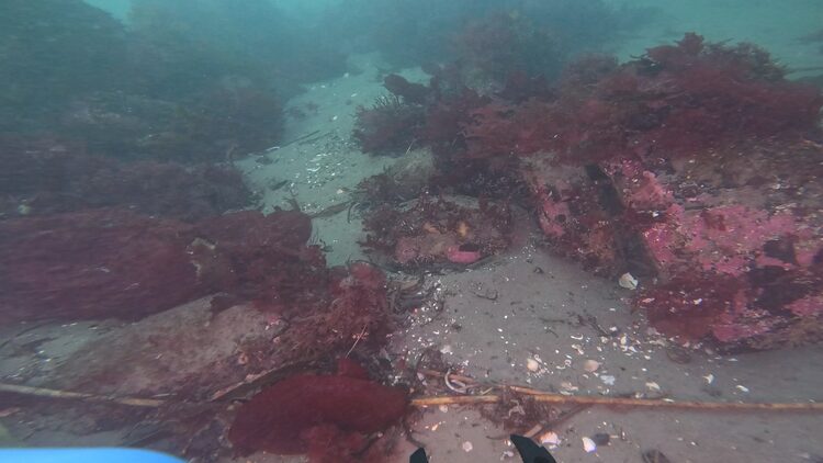 North tire reef, image 15