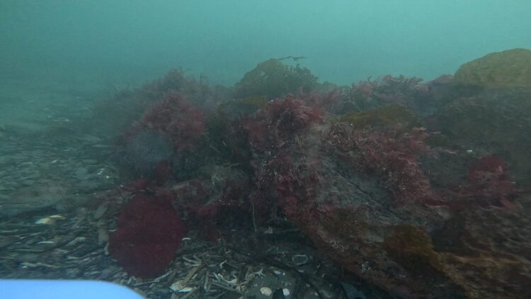 North tire reef, image 2