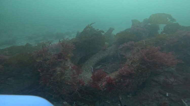 North tire reef, image 3