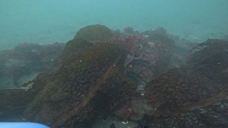 North tire reef, image 4