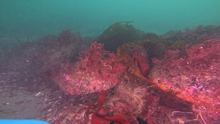North tire reef, image 5
