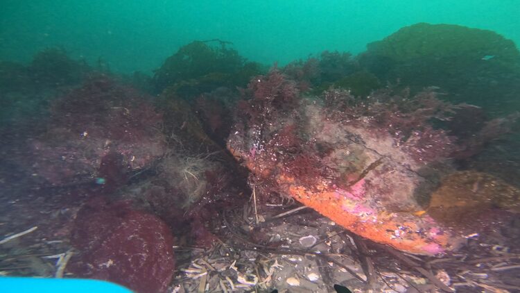 North tire reef, image 6
