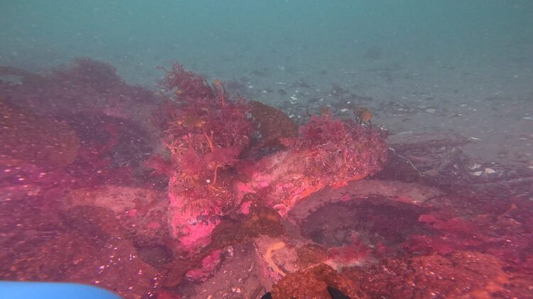 North tire reef, image 7