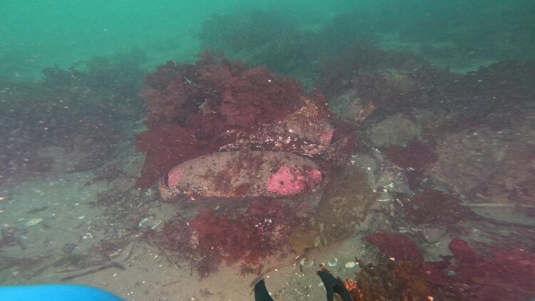North tire reef, image 8