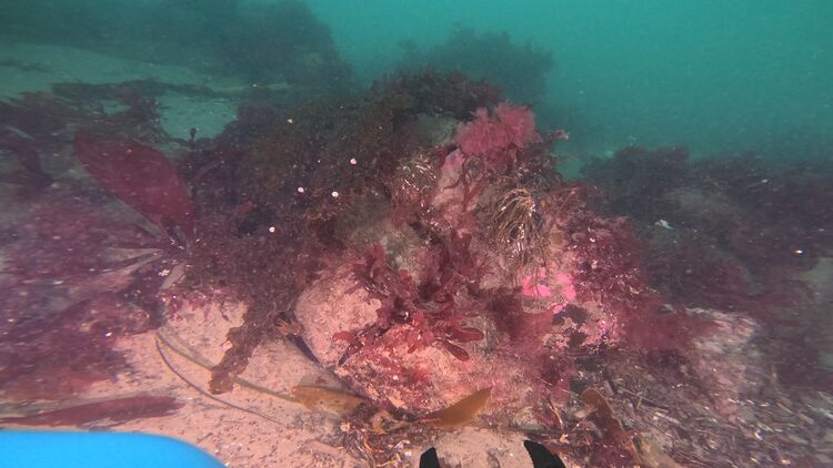 North tire reef, image 9
