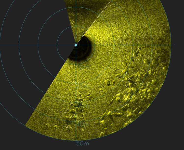 Sonar mosaic of all reefs