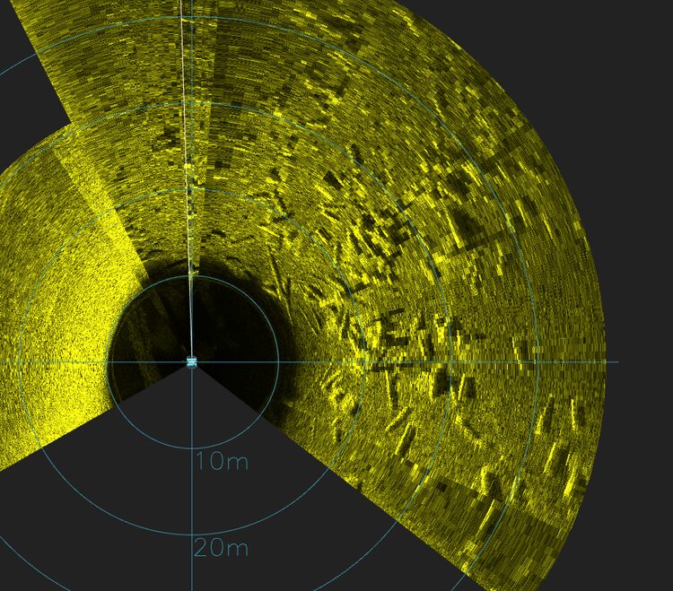 Sonar mosaic of the structure reef