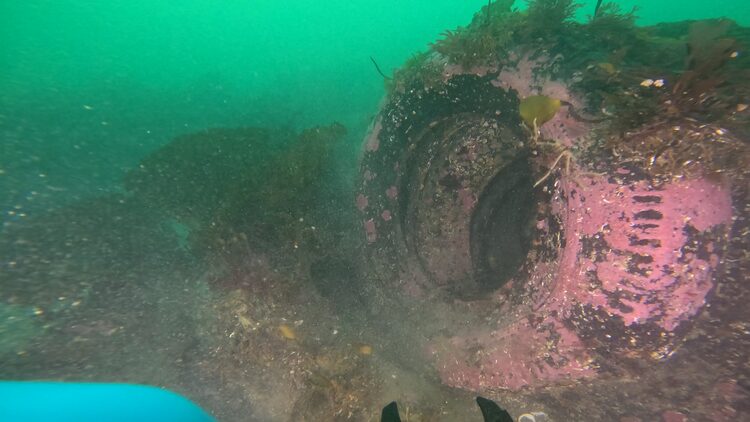 South tire reef, image 1