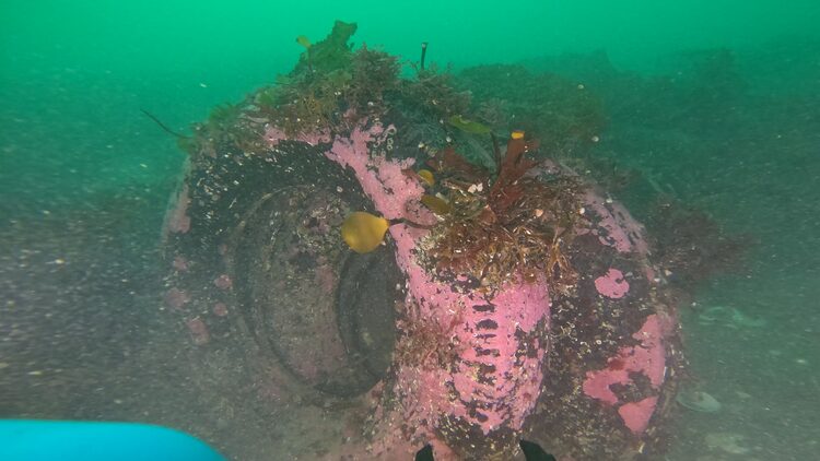 South tire reef, image 2