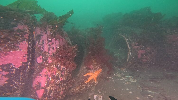 South tire reef, image 3