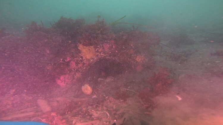 South tire reef, image 4