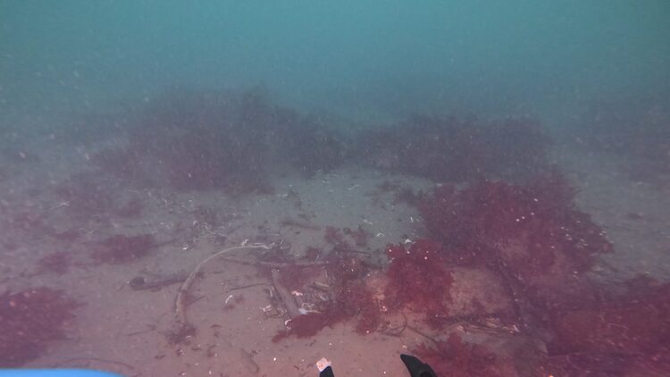 South tire reef, image 5