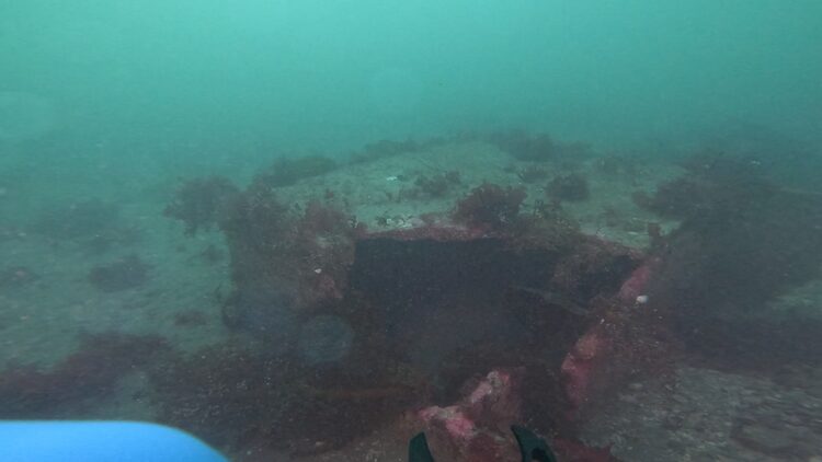 Structure reef, image 1