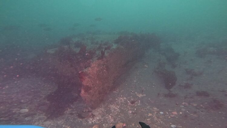 Structure reef, image 2