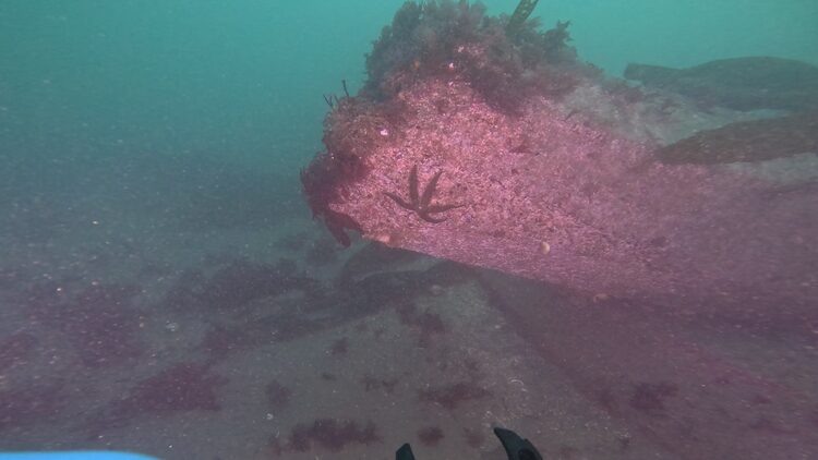 Structure reef, image 3