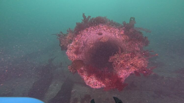 Structure reef, image 4