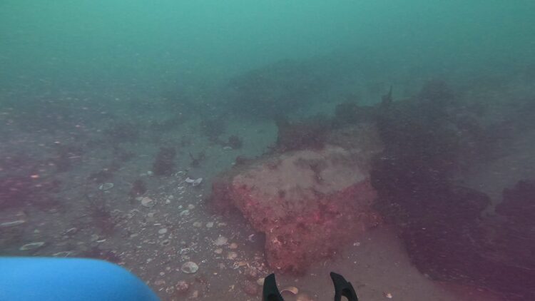 Structure reef, image 5