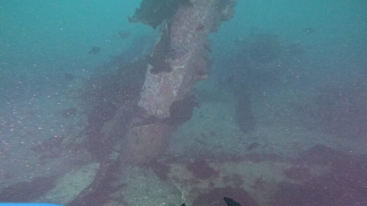 Structure reef, image 7