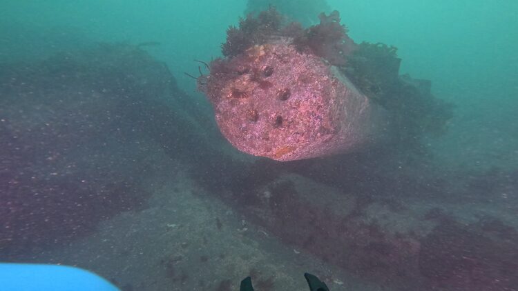 Structure reef, image 9