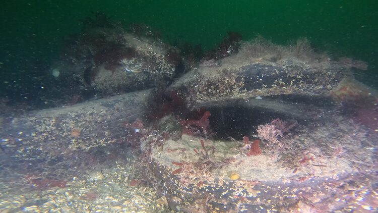 Tire reef, image 1