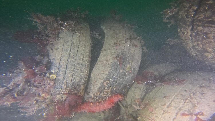 Tire reef, image 13