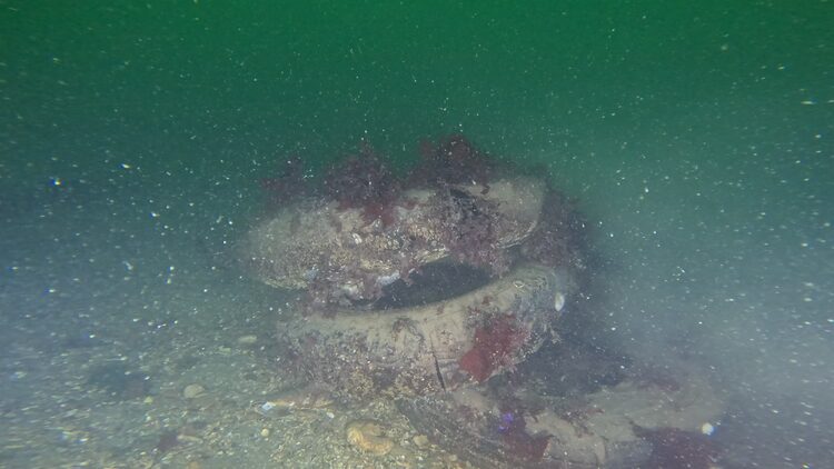 Tire reef, image 2