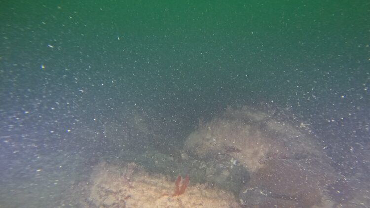 Tire reef, image 4