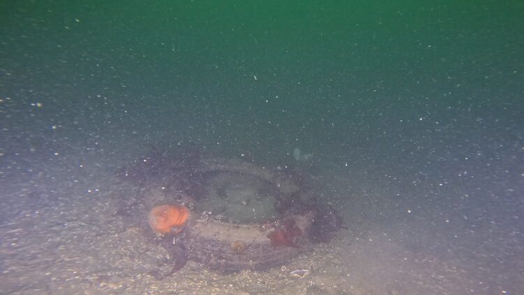 Tire reef, image 5
