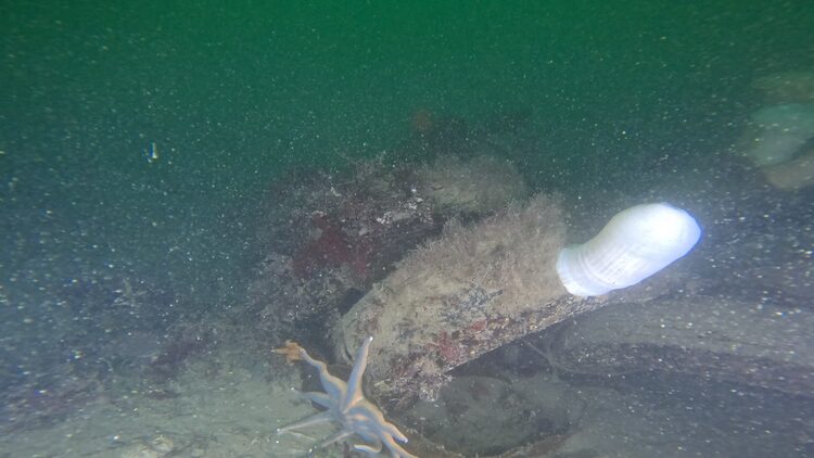 Tire reef, image 6