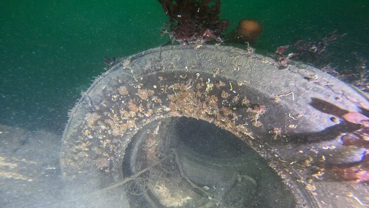 Tire reef, image 7