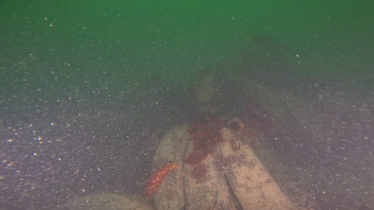 Tire reef, image 9