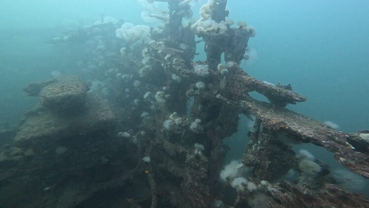 Wreck of the Ranger, image 1