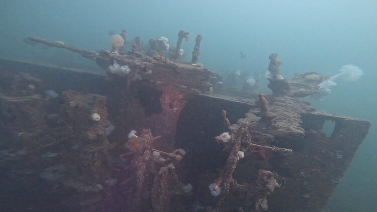 Wreck of the Ranger, image 12