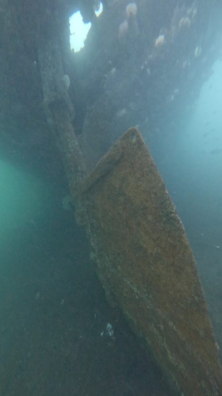 Wreck of the Ranger, image 17