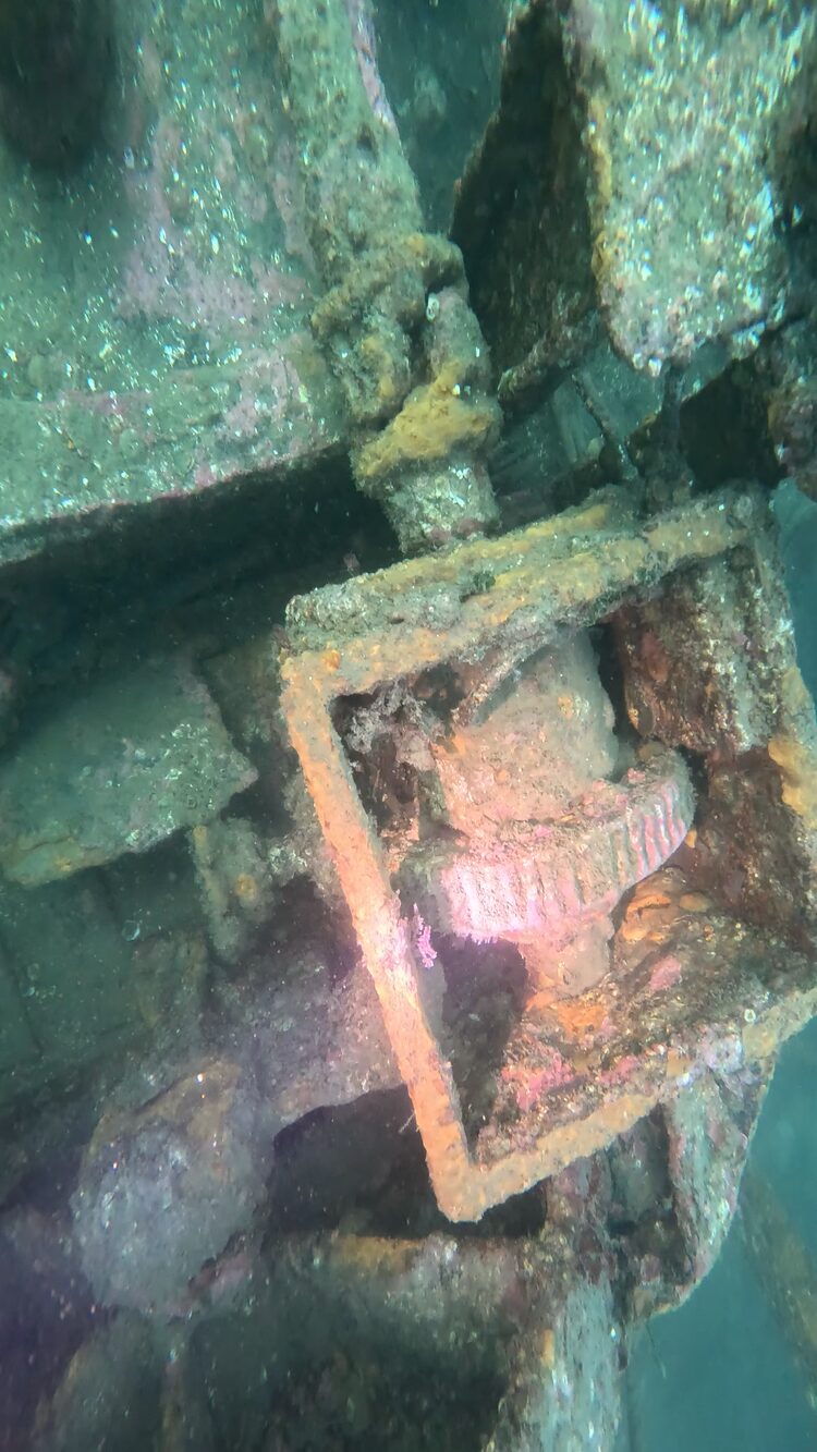 Wreck of the Ranger, image 23