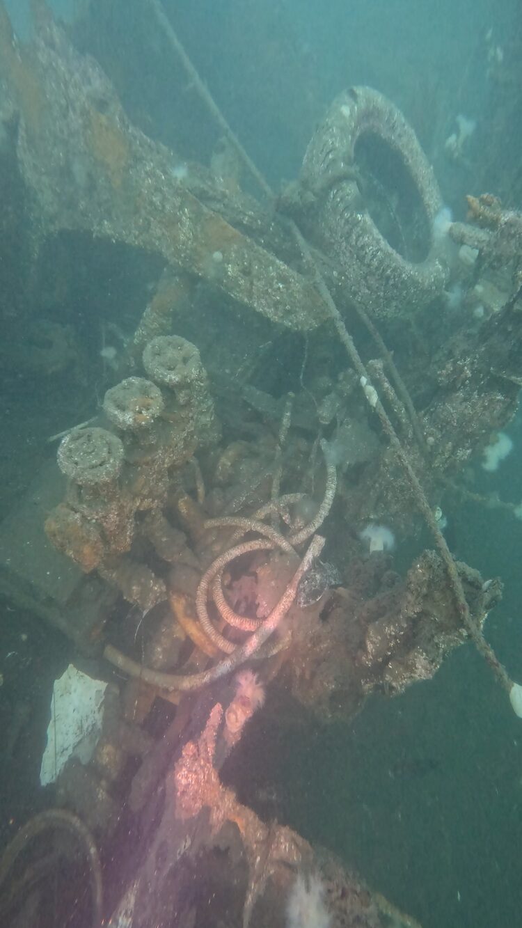 Wreck of the Ranger, image 27