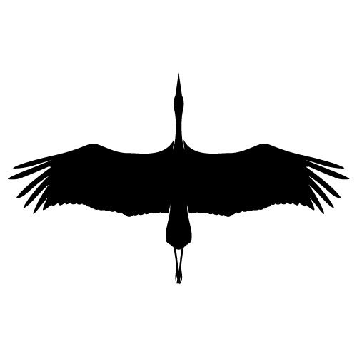 Remote Coast Systems logo