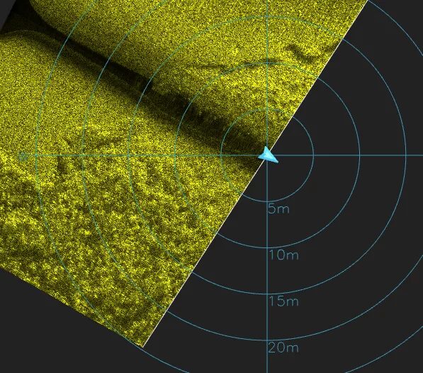 Side scan sonar mosaic of a seagrass bed