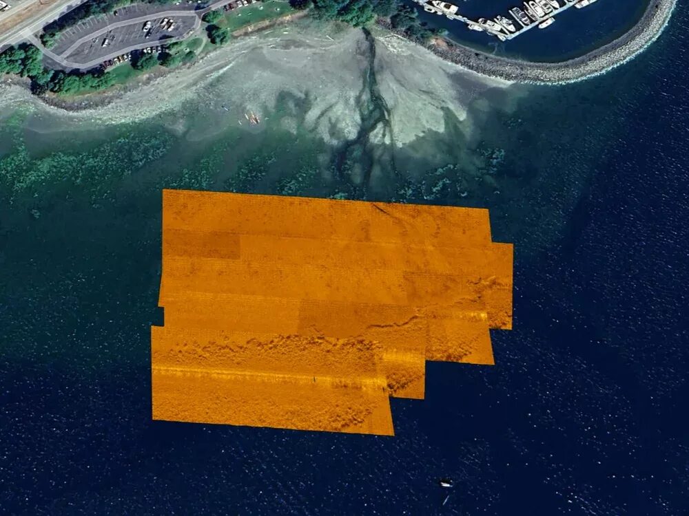 Seagrass bed boundaries shown in Google Earth