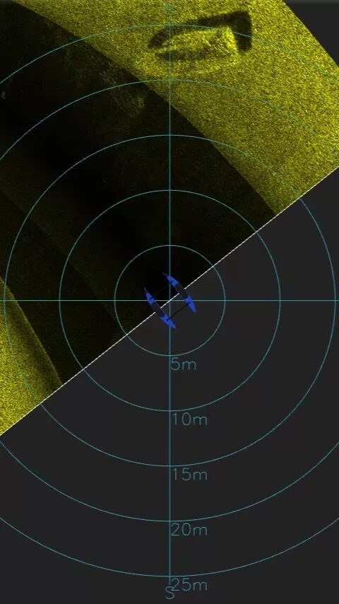 Side scan sonar snapshot of the shipwreck