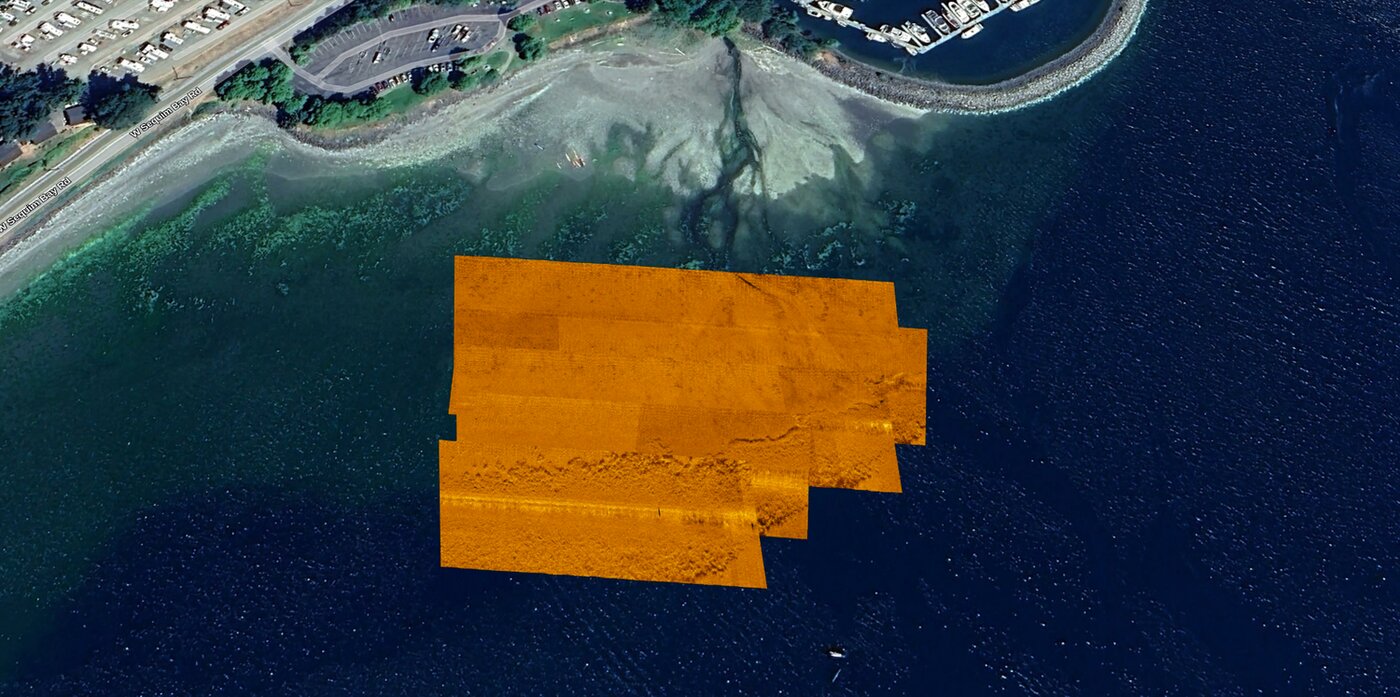 Side scan sonar geotiff of a seagrass bed
